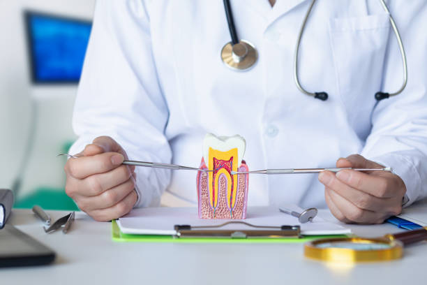 Best Emergency Tooth Extraction in Lexington, MN